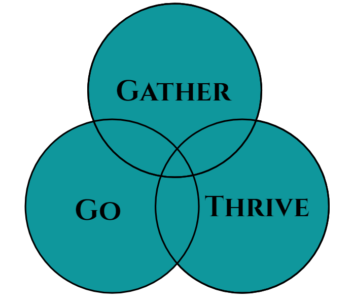 Find Your Place: Become a Team Member!