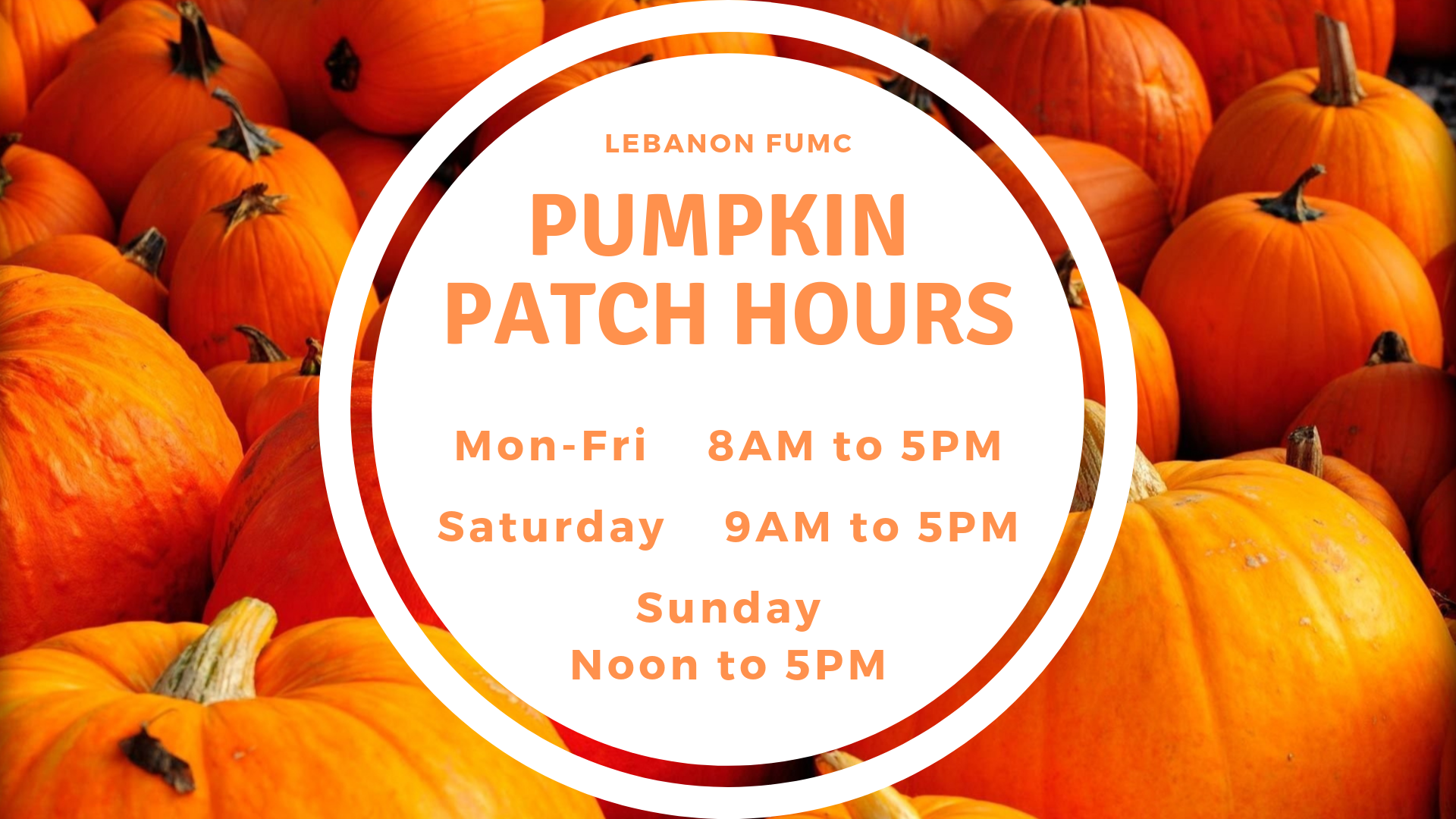The Pumpkin Patch is Back!